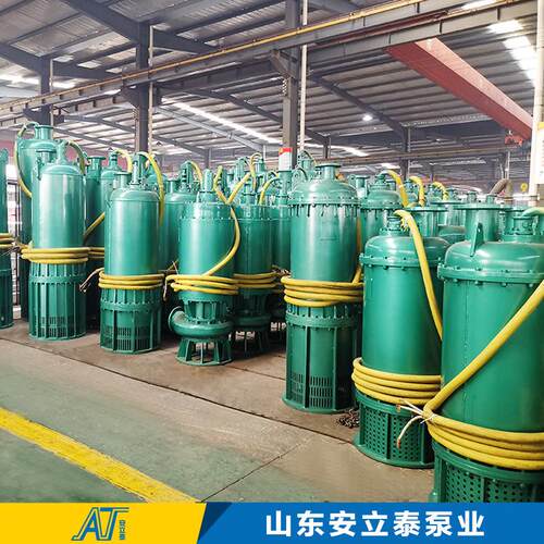 矿用防爆潜水泵BQ280SS矿用防爆潜水泵结构Q图BQS15-70/2-B7.5/B