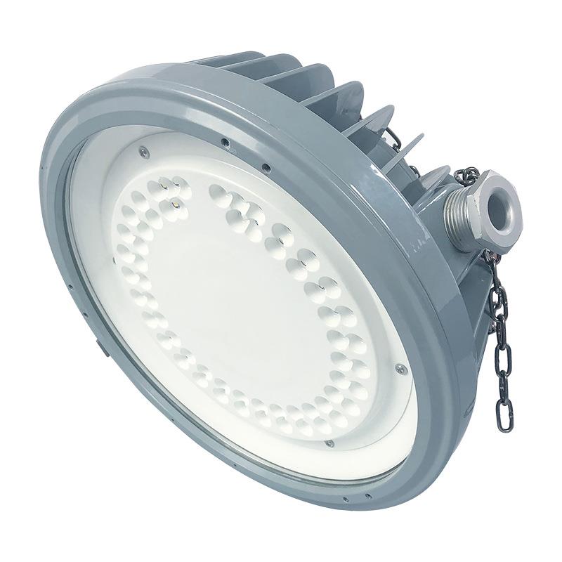 通明电器TORMIN BC9302P LED防爆灯加油站石油化工平台泛光灯具
