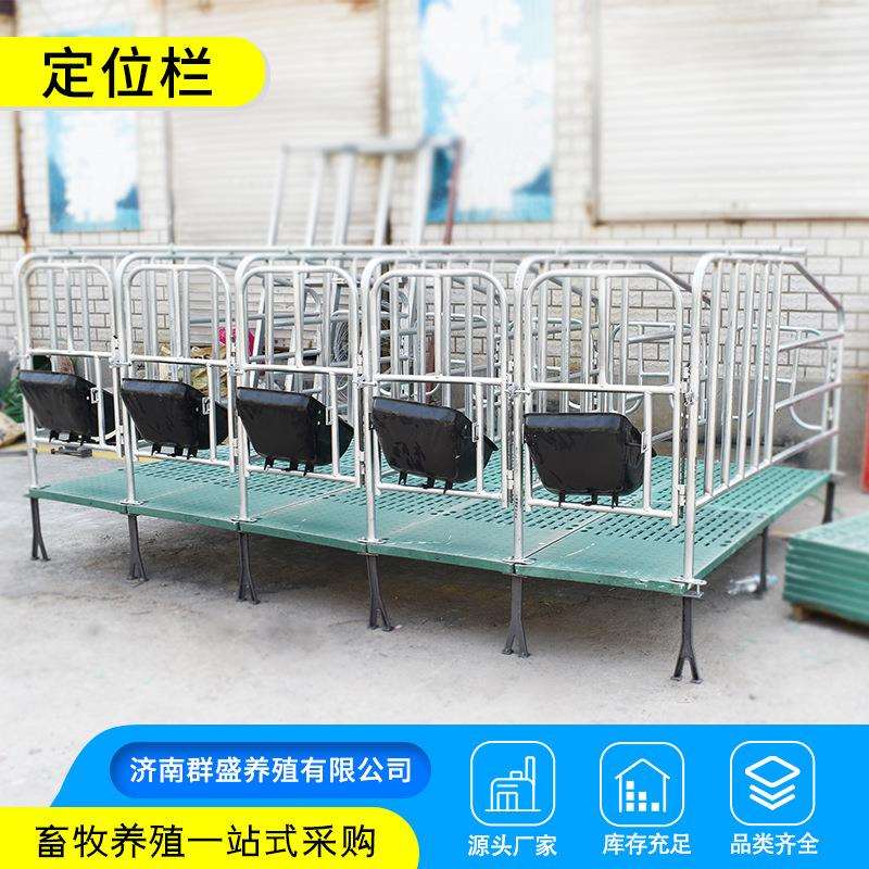 厂家直销母猪离地复合定位栏 猪用产床限位栏 养猪养殖设备产床