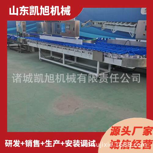 牡蛎自动称重分选机 海蛎子多级分拣机 生蚝全自动清洗分拣流水线