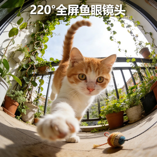 维德8mm鱼眼全屏无暗角手机镜头