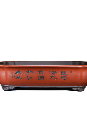 特大号陶瓷老桩盆景棠典古花卉绿植特大号客厅海盆盆宜兴紫砂花盆