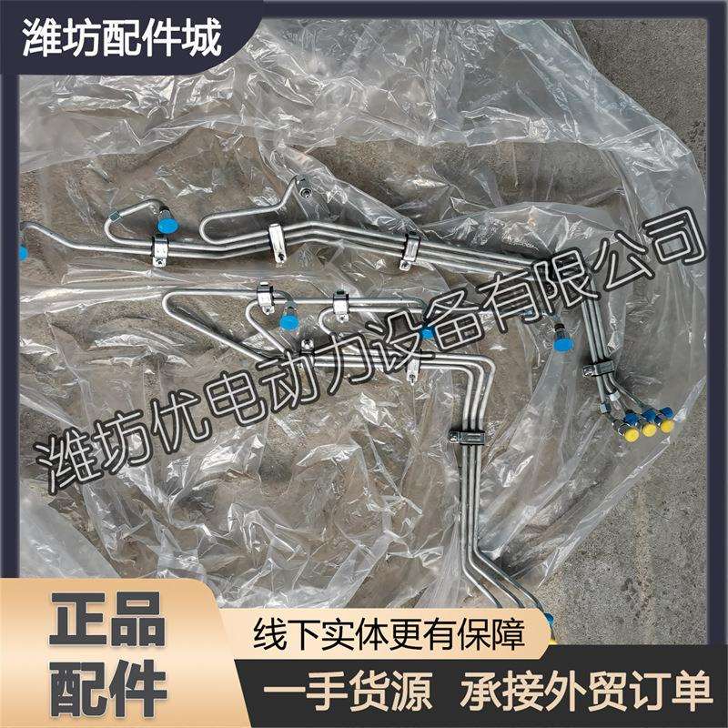 潍柴博杜安6M26柴油发动机 330205000196双层防爆防泄漏高压油管