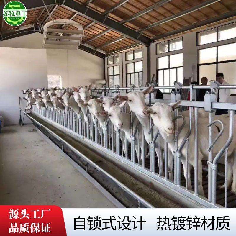 畜牧设备羊颈夹自锁式设计固定羊只3米9位苏牧重工养羊场专用