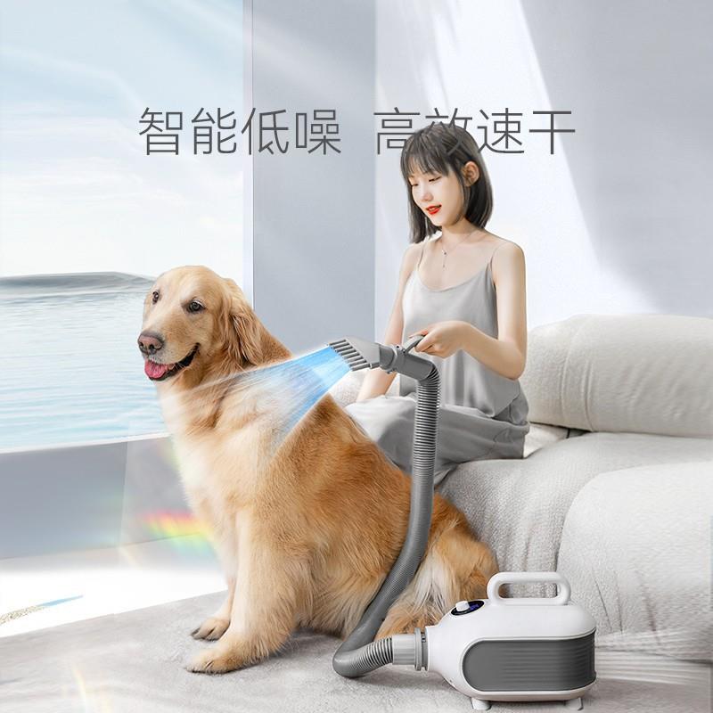 跨境NEX智能宠物吹水机大功率猫咪烘干机狗狗吹风机宠物用品
