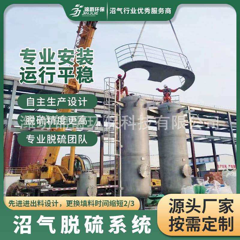 沼气脱硫净化器 脱硫罐脱硫塔设备增压泵过滤器养殖场沼气脱硫