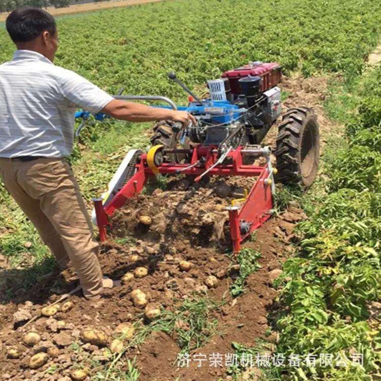 小型后置链条传动土豆机厂挖马铃薯地蛋洋芋机大型四轮地瓜收获机
