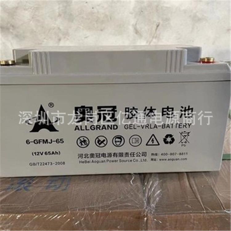 奥冠胶体蓄电池6-GFMJ-65免维护12V65Ah光伏储能 太阳能发电