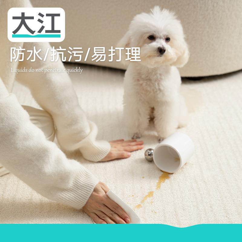 大江荷叶绒防水防污地毯客厅轻奢高级素色简约卧室床边耐脏易打理,玩具/童车/益智/积木/模型,毛绒/玩偶/公仔/布艺类玩具,淘宝优惠券,粉丝福利购,淘宝优惠卷