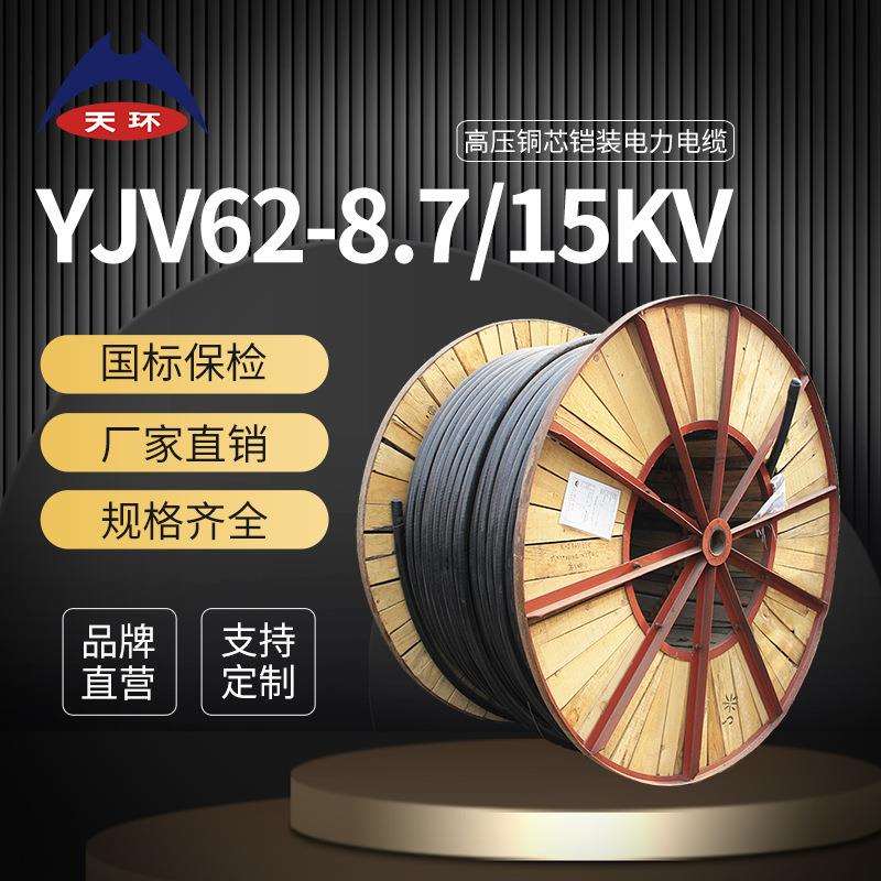 天环 ZC-YJV62单芯/1*400平方 35KV高压铜电缆 阻燃铠装电力电缆