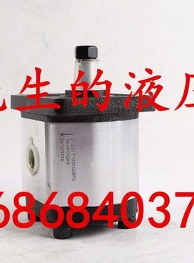 OT齿轮泵PS200005D OT200P14D/G28P2 PS2007035D DT200P14D/G31S2
