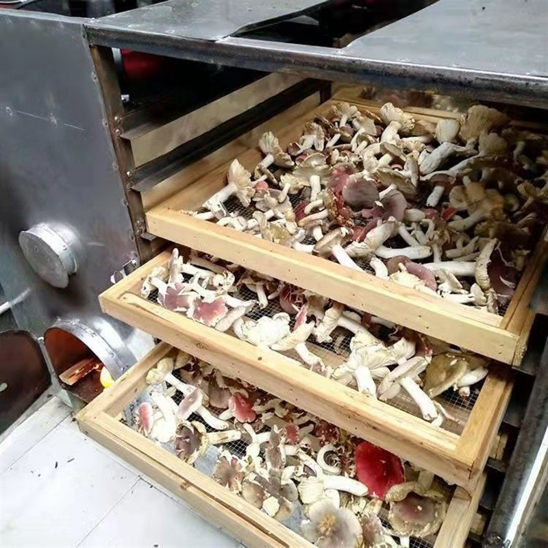 新款柴火商用烤箱l菌菇笋干辣椒农产品干货农村经济煤柴两用烘干