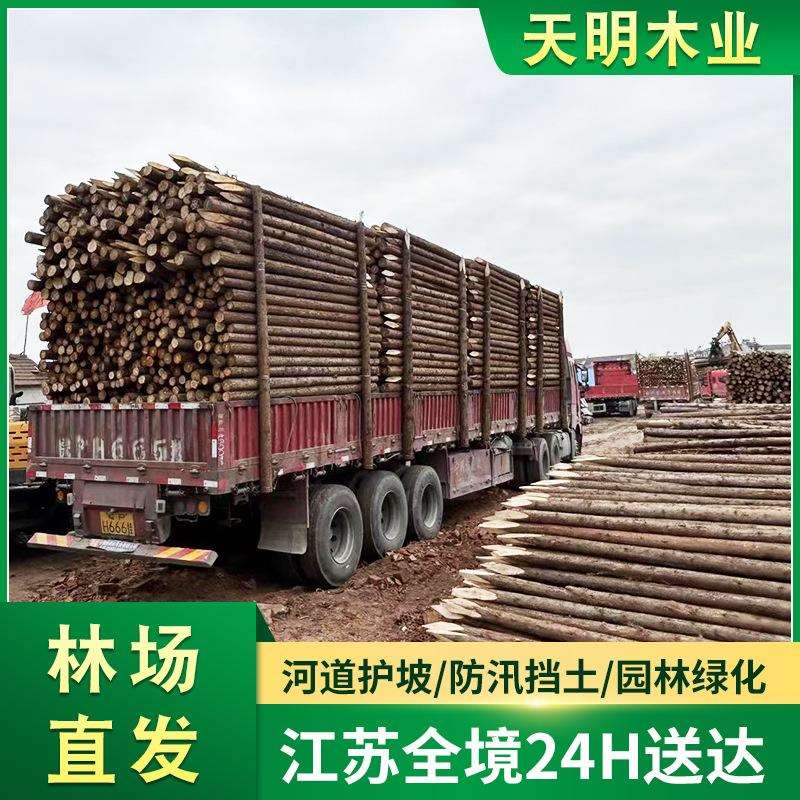 源头林场木桩削尖柳杉水杉河道杉木桩驳岸打桩木护坡护堤工程