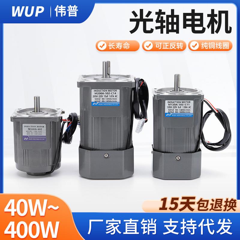 伟普供应光轴电机 微型调速减速电机交流220v减速马达