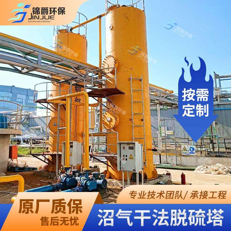 沼气脱硫净化器 不锈钢脱水脱硫罐 软体沼气池专用脱硫塔设备