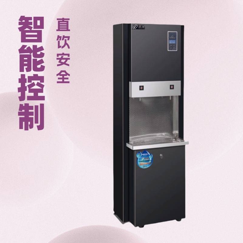 智能控制不锈钢步进式商用开水器一开一直饮豪华型直饮水设备