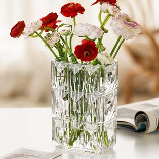 花瓶摆件客厅插花轻奢高级感透明玻璃瓶水培绿植鲜花专用桌面装饰