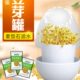 豆芽罐生绿豆芽机泡发桶麦饭石神器大容量家用小型自制全自动新款
