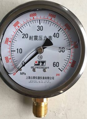 上海云泰耐震压力表0-60MPa  0-8000PSi  M20*1.5
