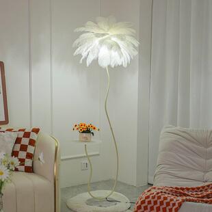 奶油风水晶羽毛沙发旁边落地灯客厅边几置物茶几卧室床头立式台灯