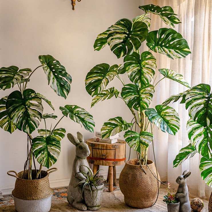 花叶龟背竹树绿植盆栽室内橱窗落地植物假绿植装饰摆件