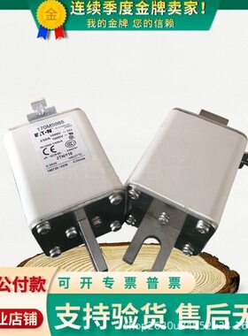 巴斯曼熔断器170M5981/5982/5983/5984/5985/5986/5987/5988/5989
