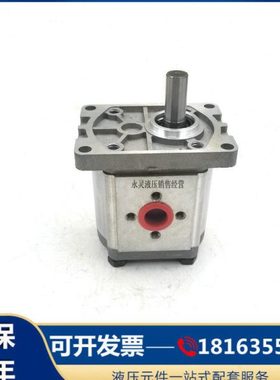 齿轮泵 CBN-F304/F306/F308/F310/F312/F314/F316/F318/F320/F325