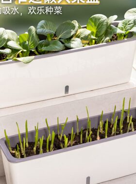 阳台种菜盆种花神器幼儿园番茄草莓苗养殖长方形塑料窄槽盆种植物