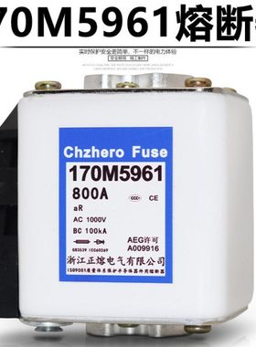 170M5960 170M5930 700A 170M5961 170M5931 800A快速熔断器1000V