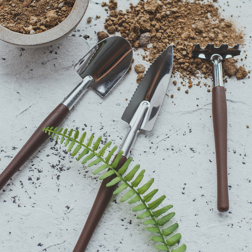 碳钢迷你多肉园艺铲子小u型三件套种花养花家庭花园园艺工具家用