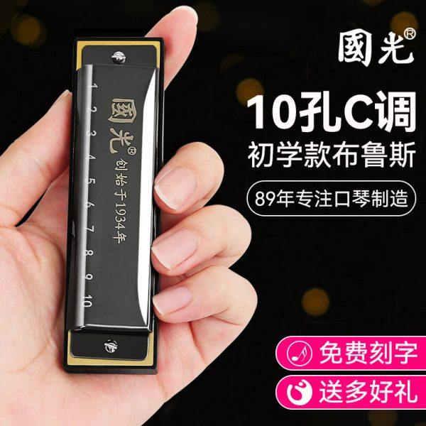 国光十孔布鲁斯口琴C调初学者入门专业10孔蓝调儿童小学生专用男