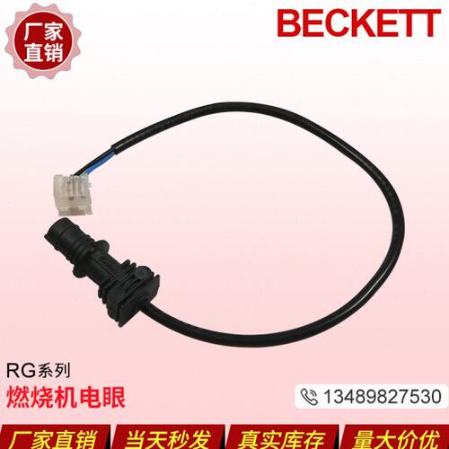 利雅路RG2S RG3S RG4S RG5S RG2D RG3D RG4D RG5D电眼火焰探测器
