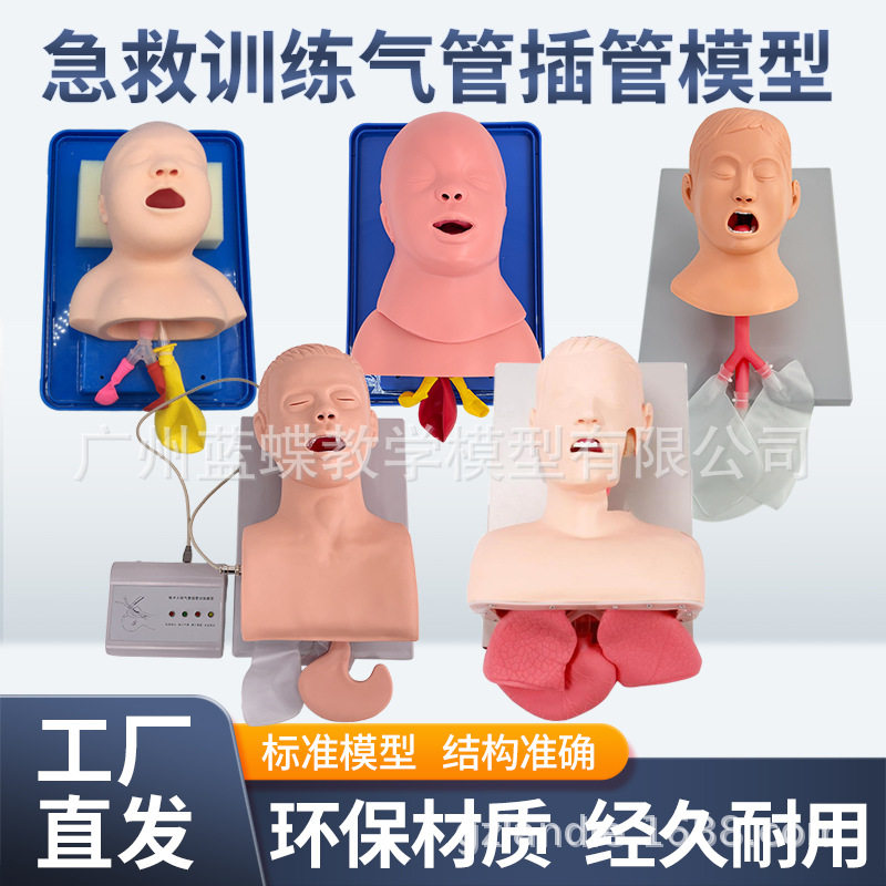 成人电子人体气管插管训练模型带牙齿受压报警口鼻咽气道管理训练
