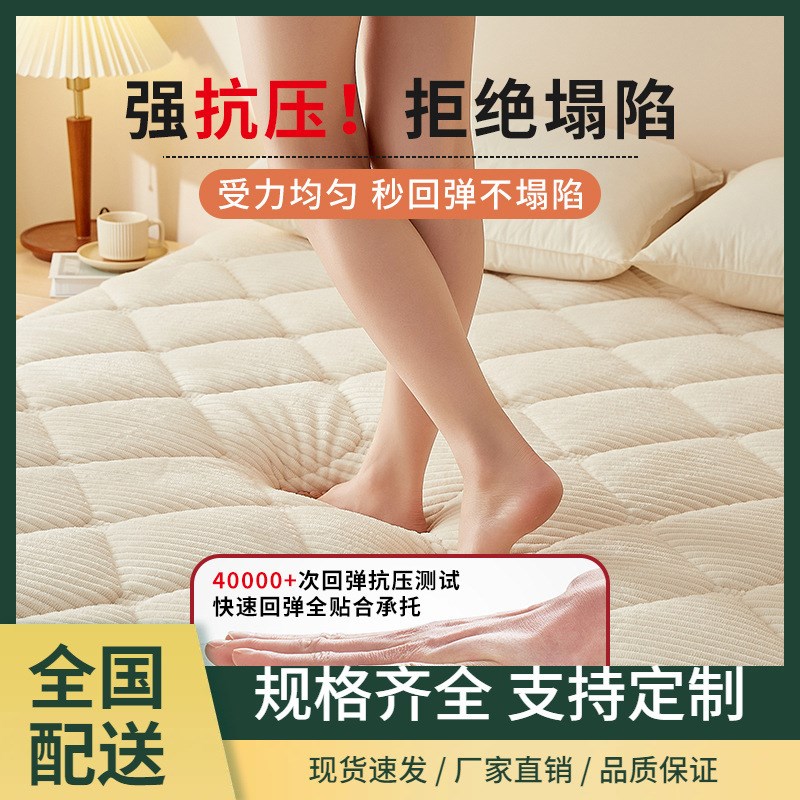 床垫软垫家用褥子垫被羊羔绒冬季加厚被褥铺底保暖榻榻米冬天垫子