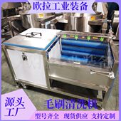 毛辊清洗去皮一体机 萝卜毛刷清洗设备 莲藕清洗去泥机
