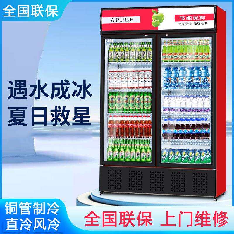 啤酒展示饮料柜水果冷藏柜商用单门冰箱立式双门冷柜蔬菜保鲜冰柜