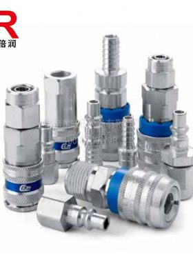 BR供应瑞典希恩CEJN300软线型系列接头