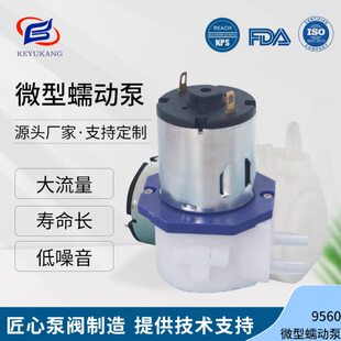 KYK9560微型小型迷你蠕动泵计量水泵家用小型抽水泵扫地机专用