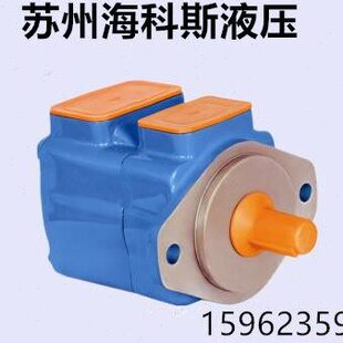 25V-12A-1C22R 25V-17A-1C22R 叶片泵 油泵  19 1D