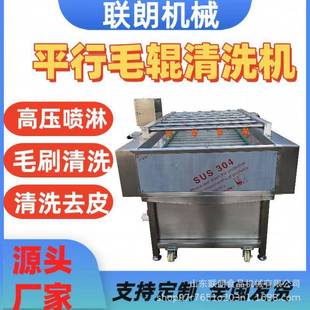 中药材天麻毛辊清洗机沃柑橙子平行毛刷清洗设备大姜去皮清洗机