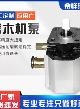 树墩劈木机泵 卧式劈木机泵 10GPM11GPM12GPM13GPM16GPM