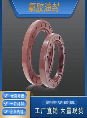 GB/T13871唇形密封圈FBTC型旋转氟胶骨架油封内径35mm外径45-55mm