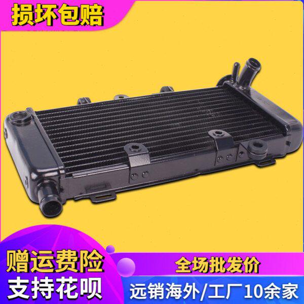 适用本田配件蓝宝石 龙犬 马格纳250 水箱总成水冷器发动机散热器
