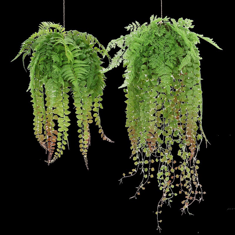 可代发棚顶装饰阳台吧台悬挂假苔藓青苔店铺植物吊兰绿色叶垂吊