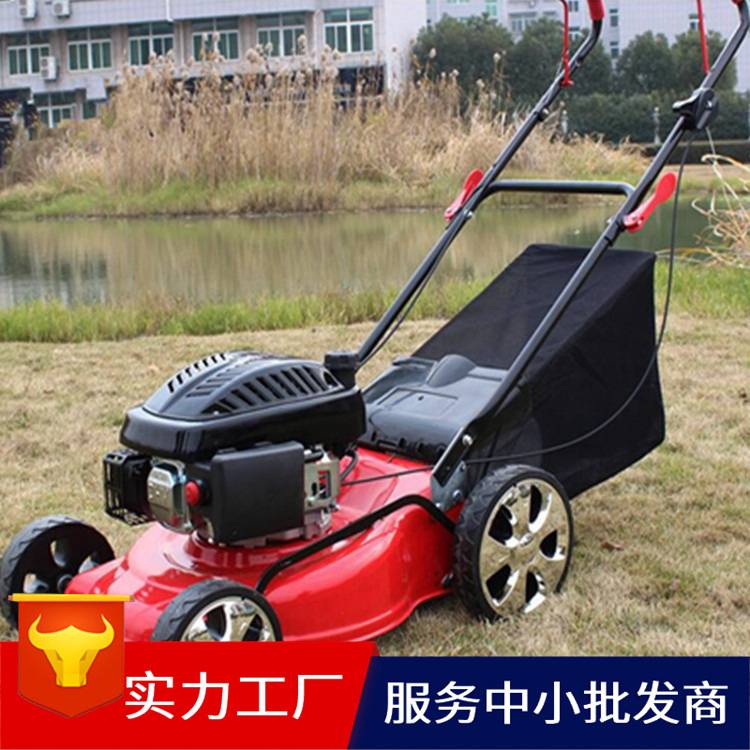 手推式草坪机 护坡小型草坪机 环保割草机生产厂家