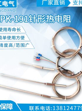 PT100铠装热电阻 WZPK-191针形热电阻 铠装丝可弯曲 带引线自定