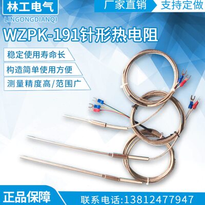 PT100铠装热电阻 WZPK-191针形热电阻 铠装丝可弯曲 带引线自定