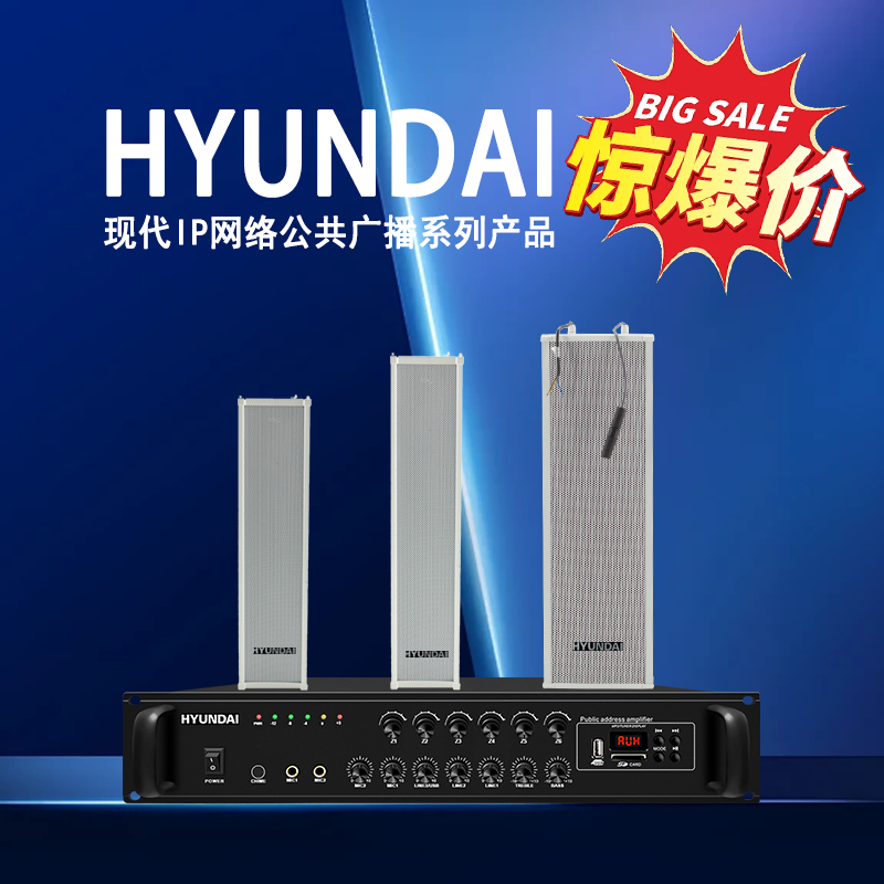 现代特价爆款IP网络音柱功放