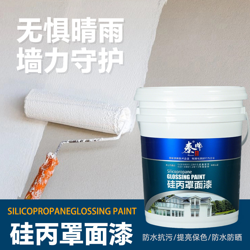 水性硅丙罩面漆外墙乳胶漆防水抗污提亮保色防晒涂料艺术漆室内墙