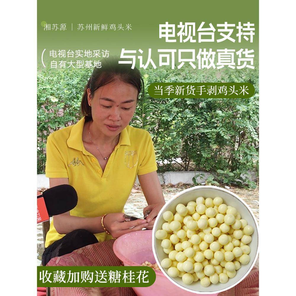 鸡头饭鲜苏州南塘特产2025冻鲜戈尔贡果园生产200g*2